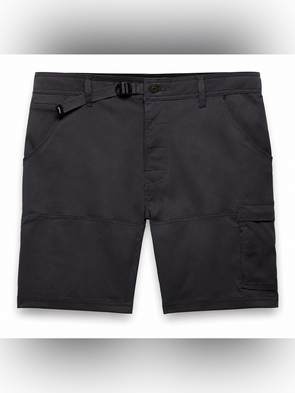 NWT prAna Stretch Zion II Shorts Dark Iron Men’s 28 x 10 Hiking Cargo Performanc